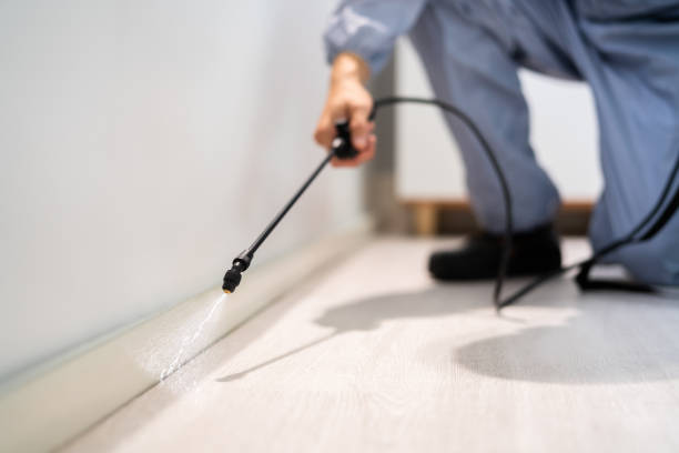 Licensed Mosquito Control service in Overland Park, KS - Show Me Pest Control