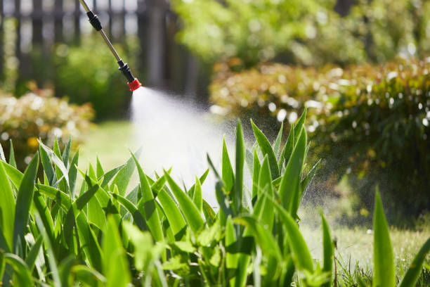 24/7 Emergency Mosquito Control experts in Overland Park, KS